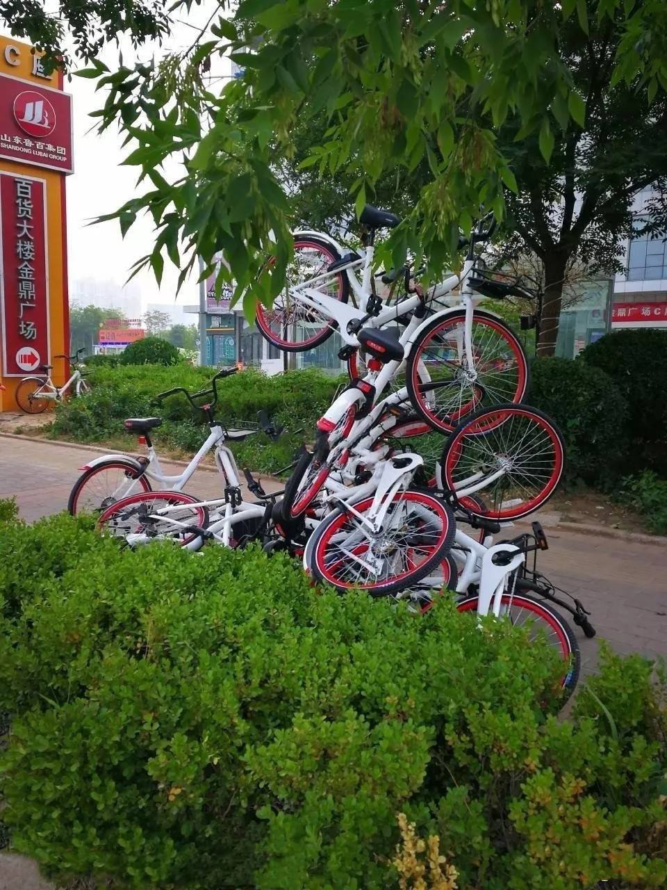 东营_好好的共享单车被破坏成这样,愤怒!_胜利