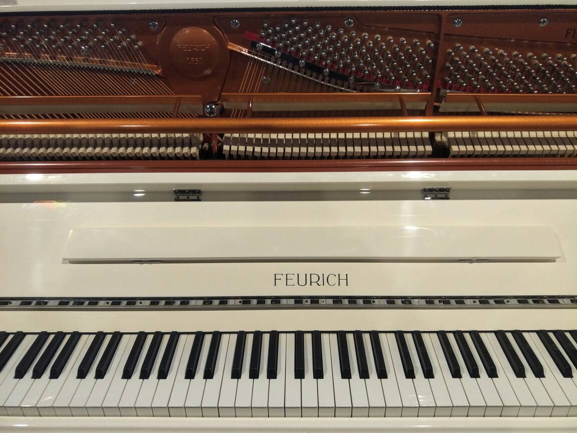 弗尔里希国内最正宗的德国钢琴没有之一