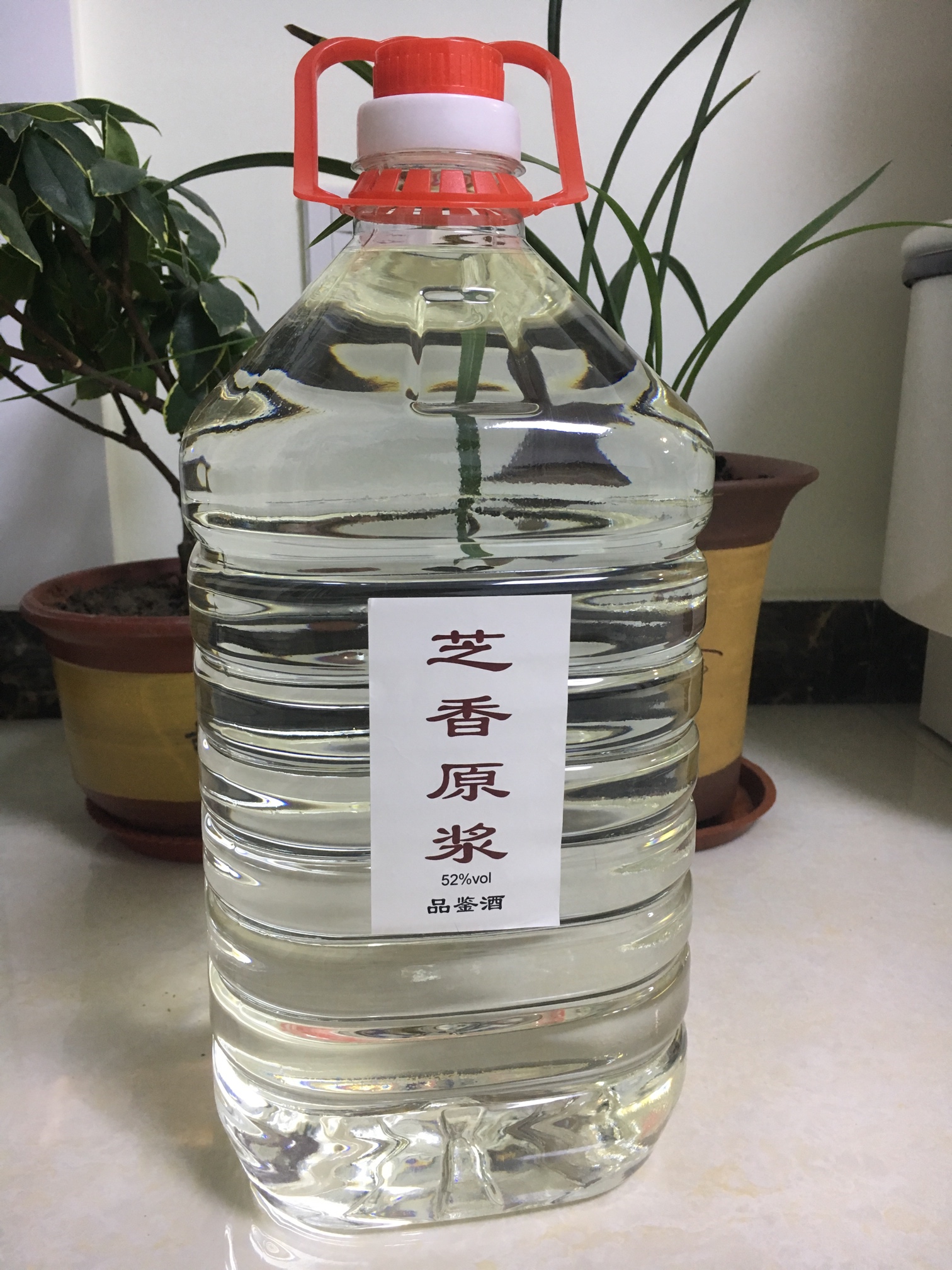 正宗景芝芝麻香原浆白酒,13371518321